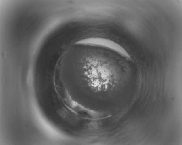 X0000069360383200605262005