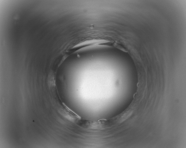 X0000069360384200605262005