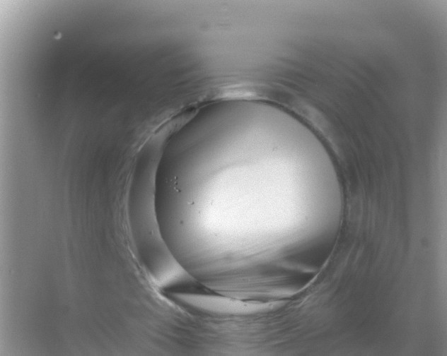 X0000069360385200605262004