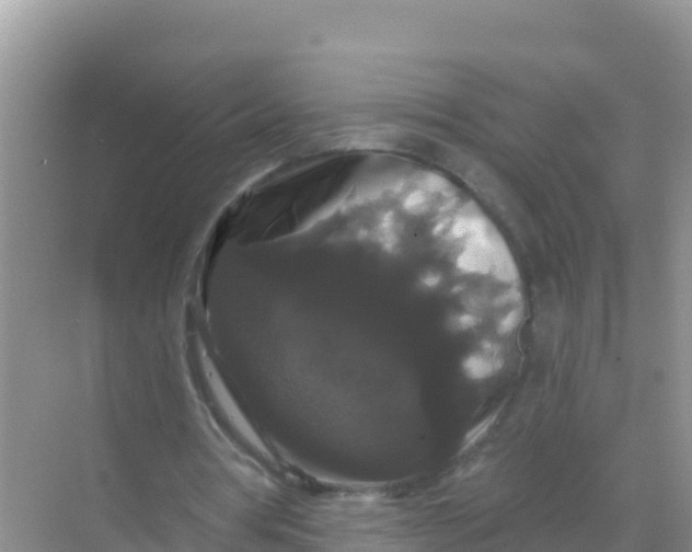 X0000069360386200605262004