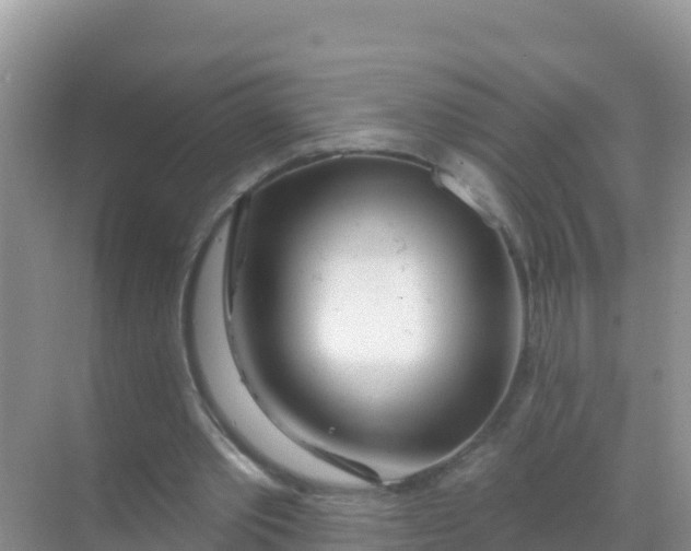 X0000069360389200605262004