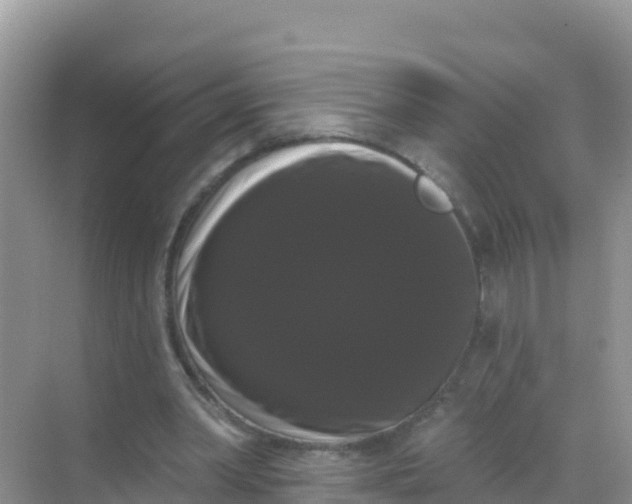 X0000069360390200605262004