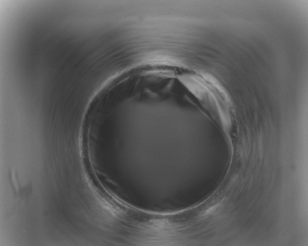 X0000069360391200605262004