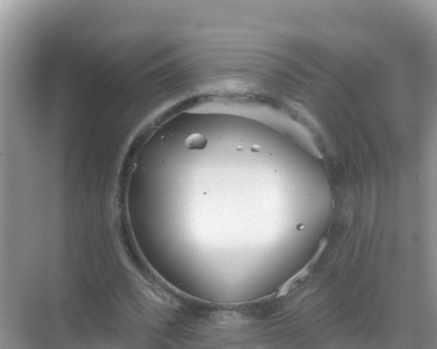 X0000069360392200605262004