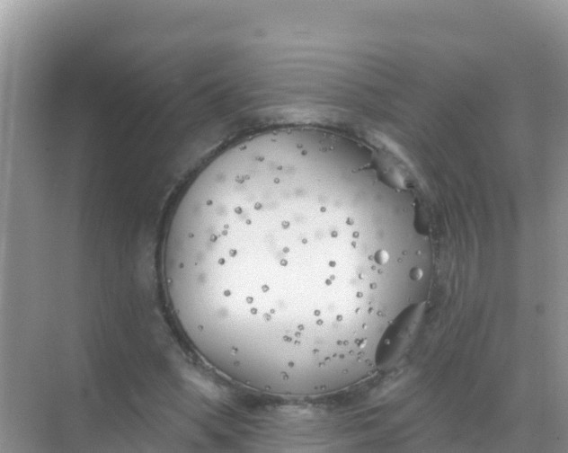 X0000069360394200605262004