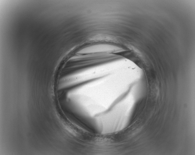 X0000069360399200605262004