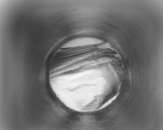 X0000069360400200605262004