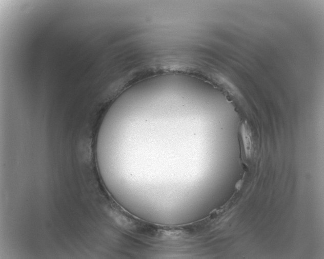 X0000069360401200605262004