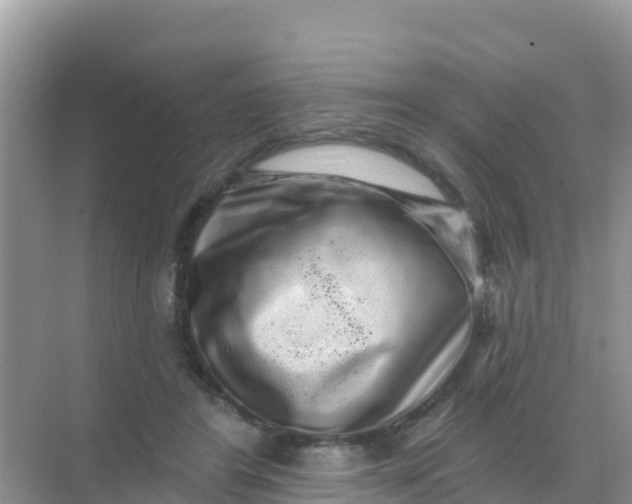 X0000069360404200605262004