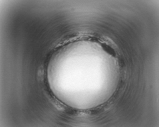 X0000069360405200605262004