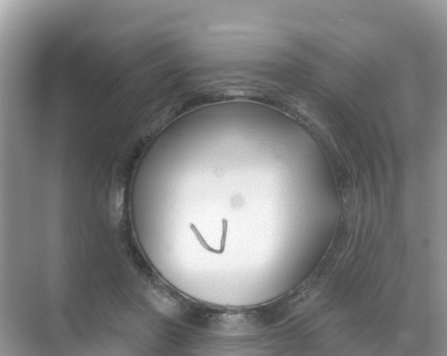 X0000069360406200605262004