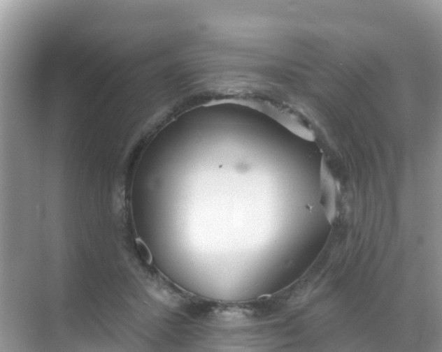 X0000069360407200605262004