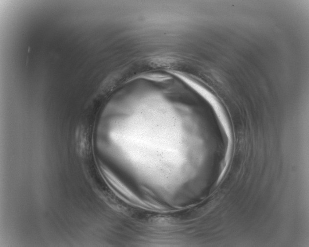 X0000069360408200605262004