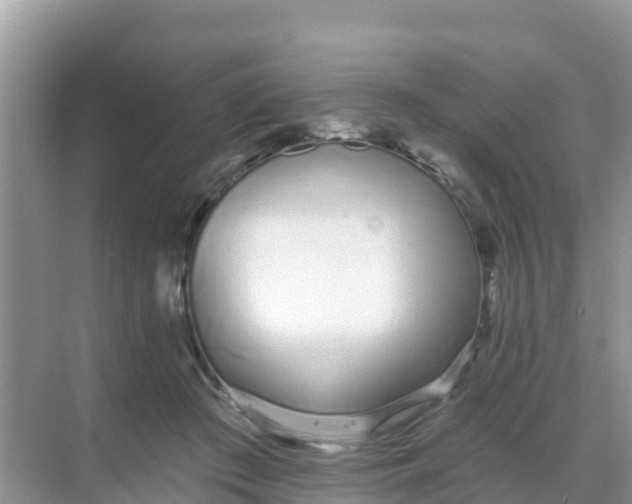 X0000069360409200605262004