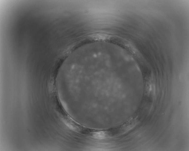 X0000069360411200605262004