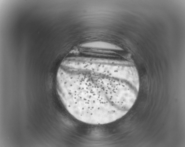 X0000069360412200605262004