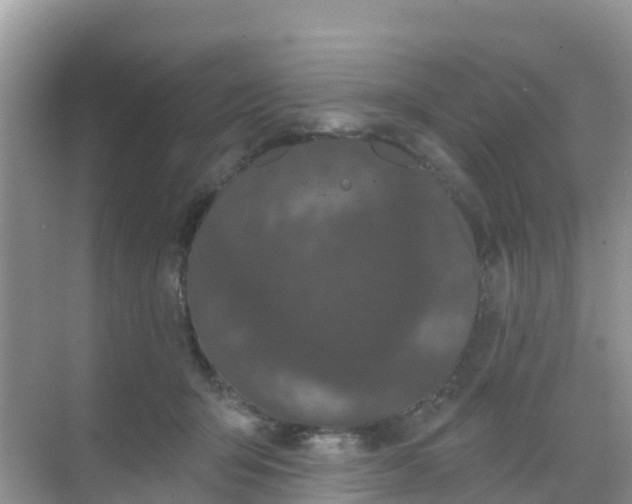 X0000069360415200605262004