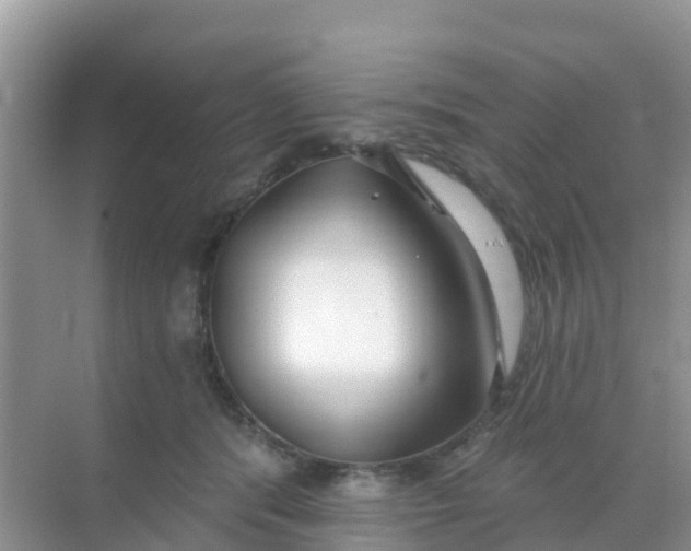 X0000069360416200605262004