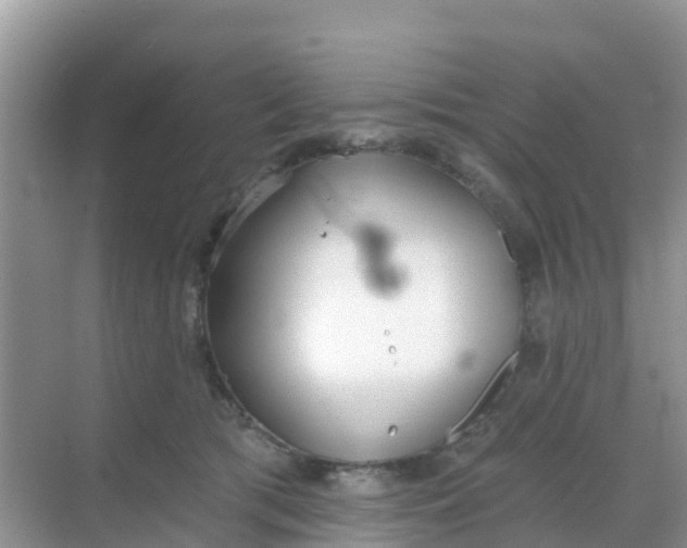 X0000069360417200605262004