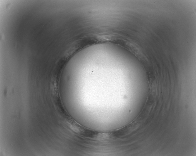 X0000069360418200605262004