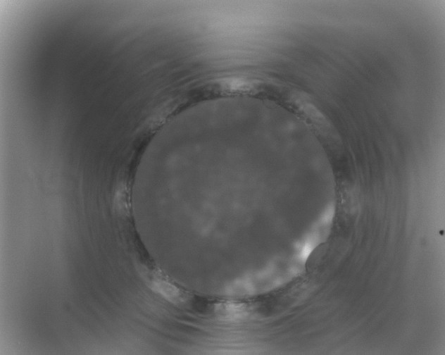 X0000069360419200605262004