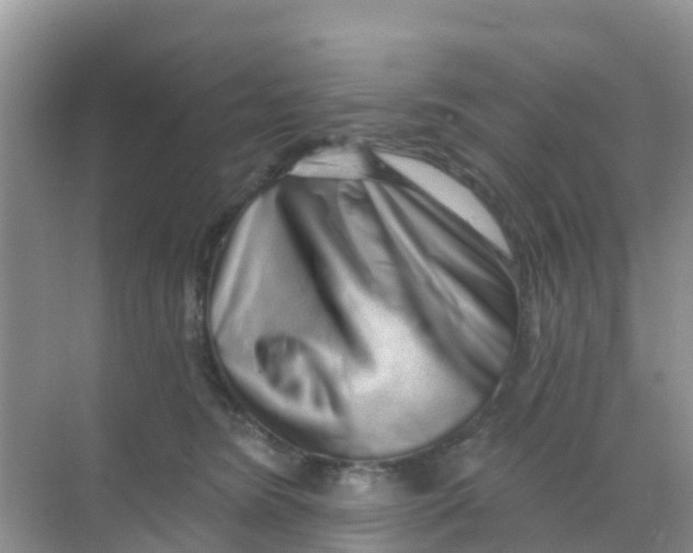 X0000069360420200605262004