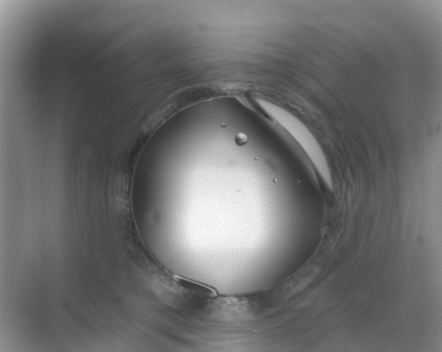 X0000069360421200605262003