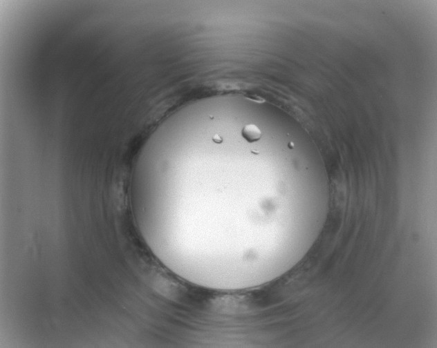 X0000069360422200605262003