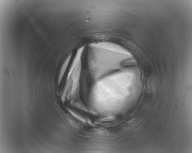 X0000069360424200605262003