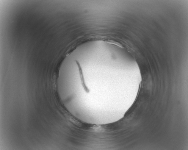 X0000069360425200605262003