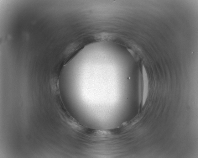 X0000069360429200605262003