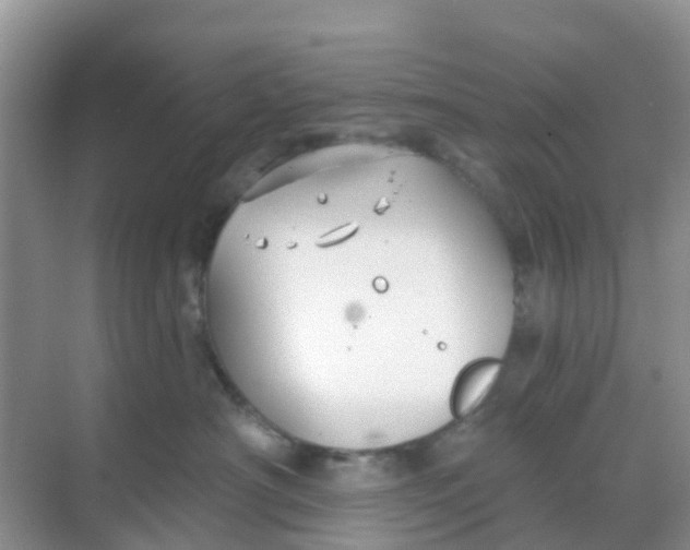 X0000069360430200605262003