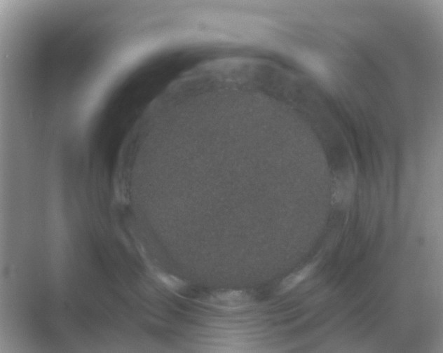 X0000069360431200605262003