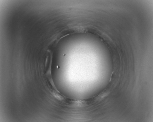 X0000069360432200605262003