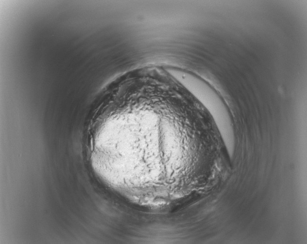 X0000069360434200605262003