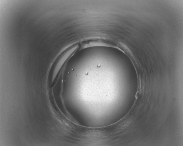 X0000069360435200605262003