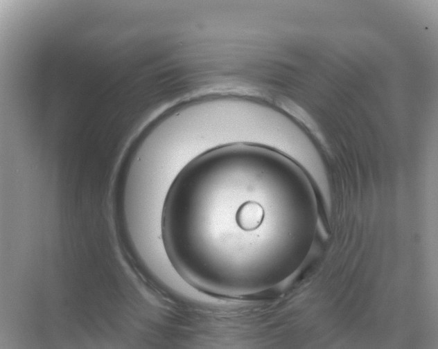 X0000069360436200605262003