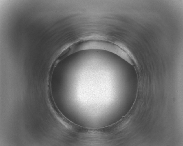 X0000069360437200605262003