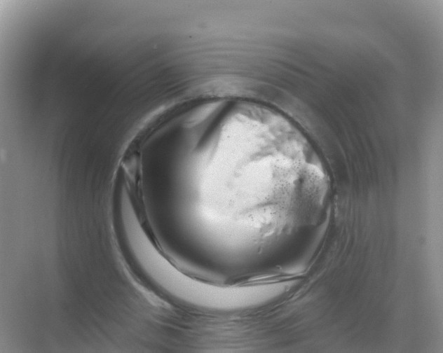 X0000069360438200605262003