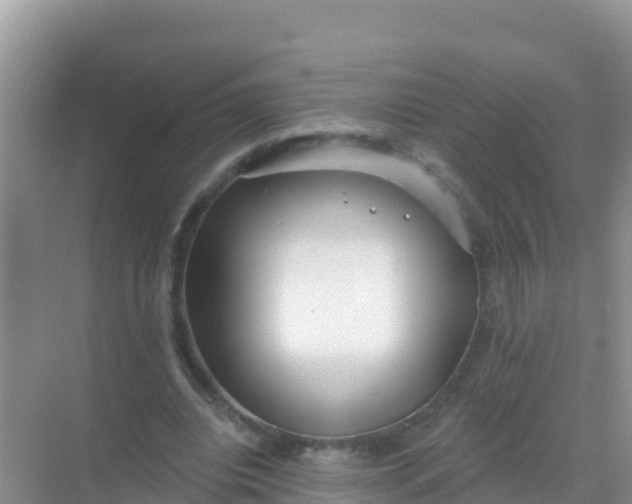 X0000069360440200605262003