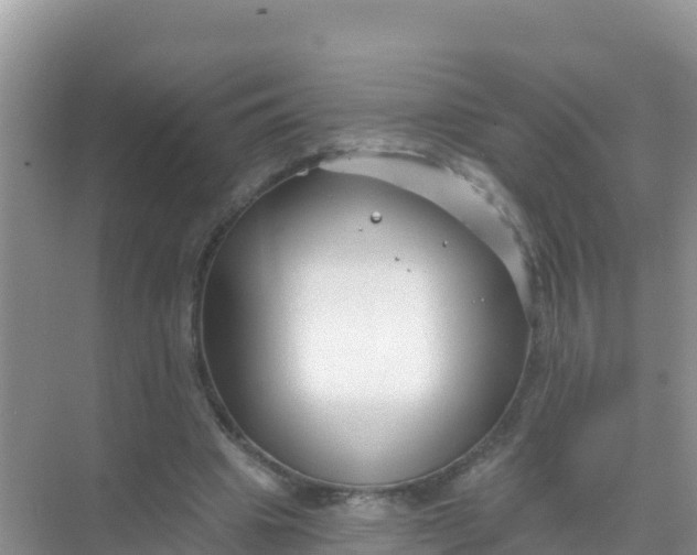 X0000069360441200605262003