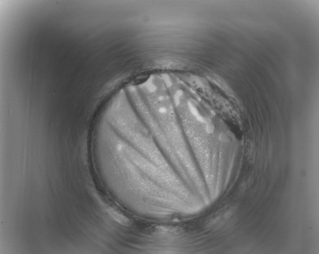 X0000069360442200605262003