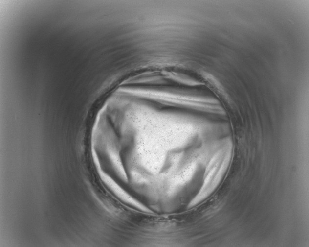 X0000069360443200605262003