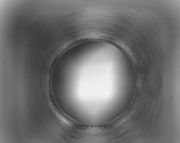 X0000069360445200605262003