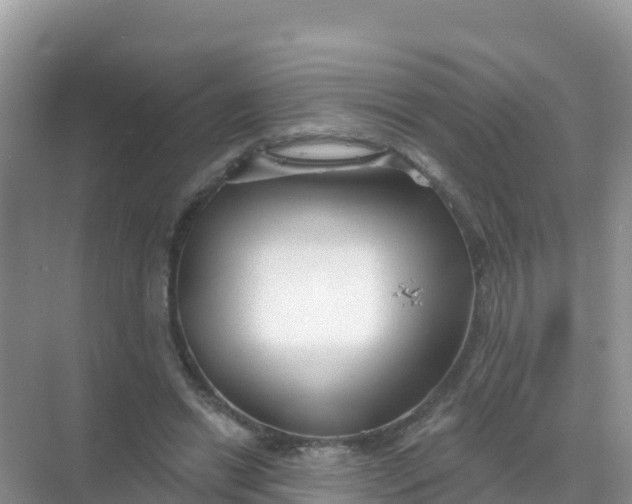 X0000069360446200605262003