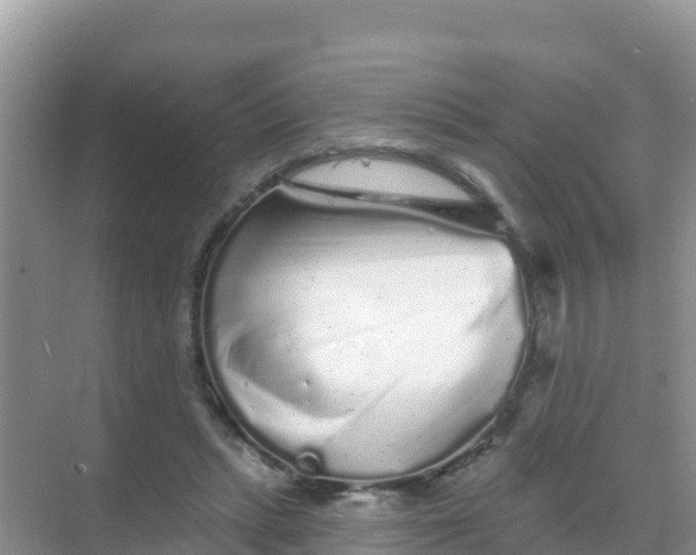 X0000069360447200605262003