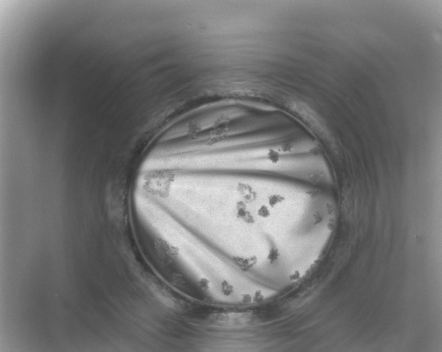 X0000069360449200605262003