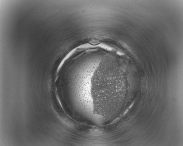 X0000069360451200605262003