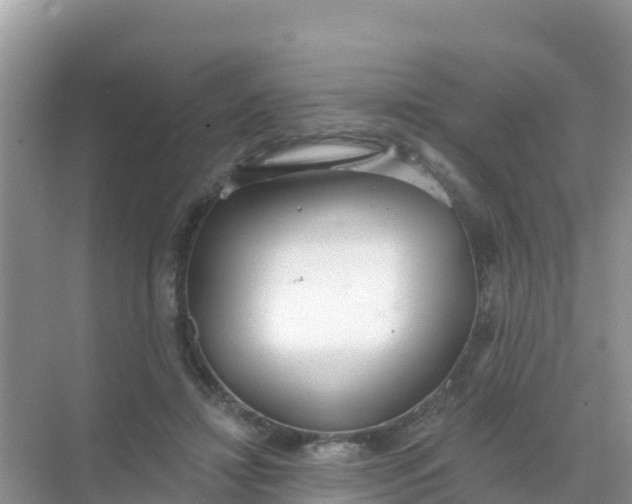 X0000069360452200605262003