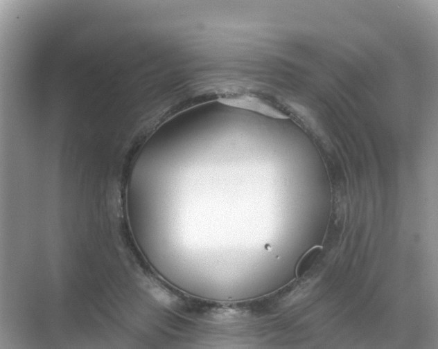 X0000069360453200605262003